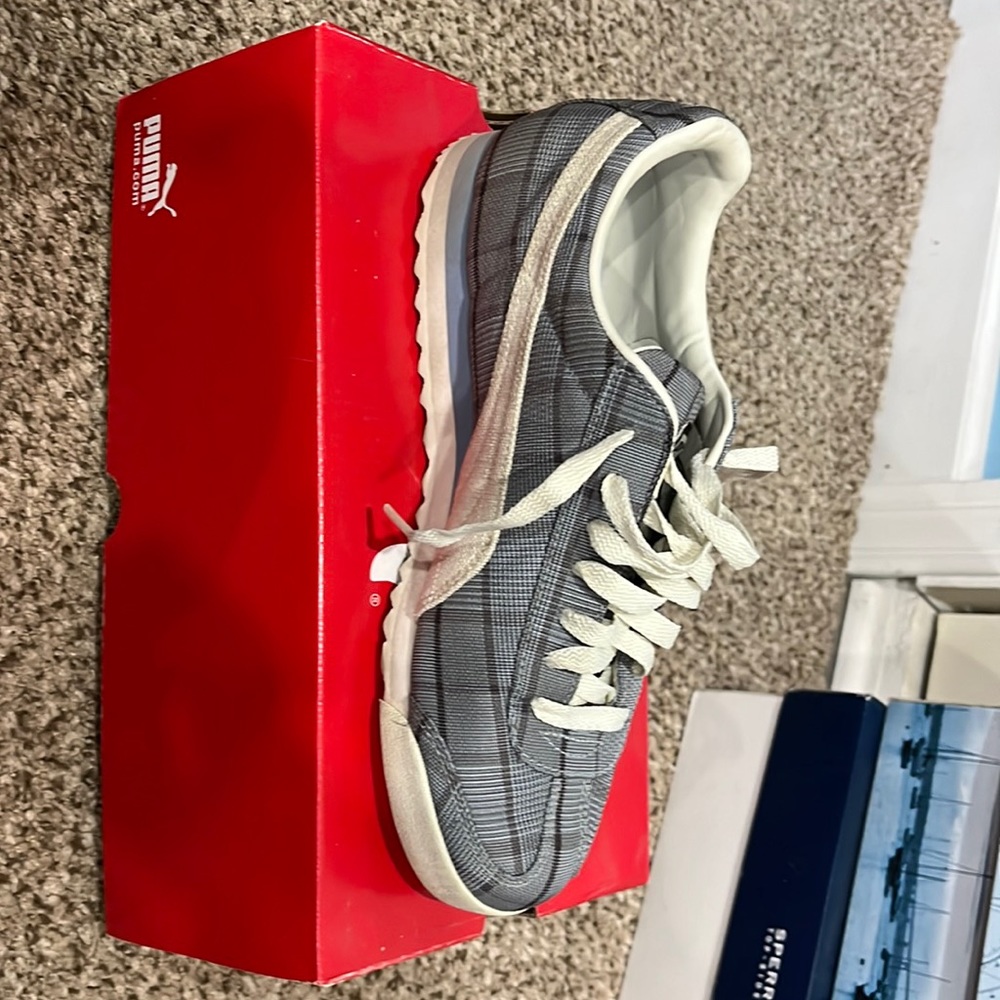 Old school pumas